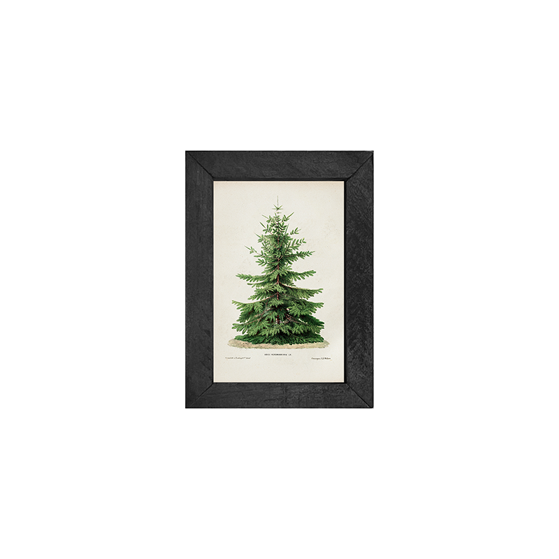 Vintage Tree