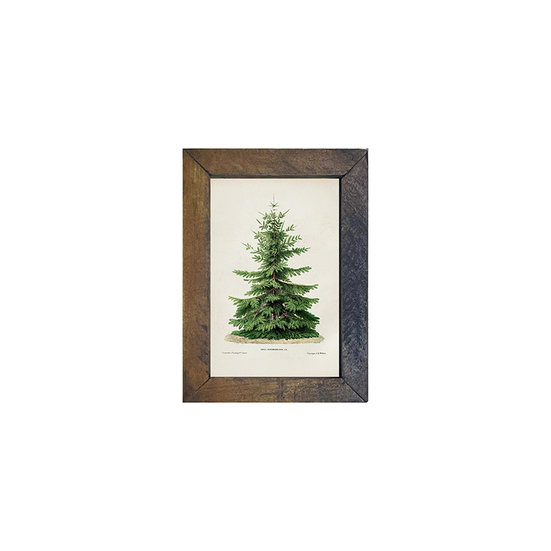 Vintage Tree