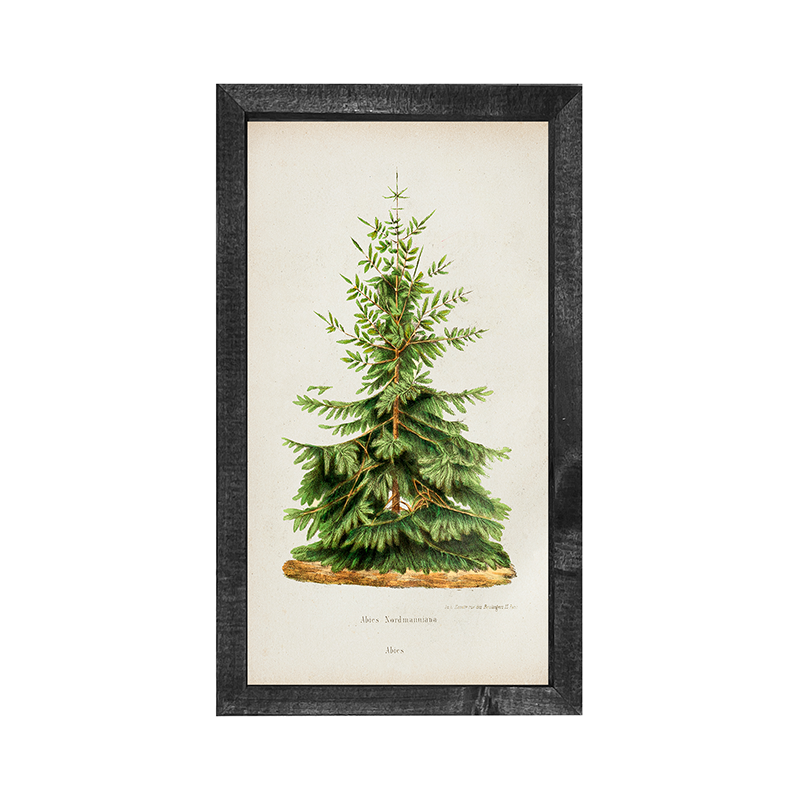Vintage Tree- 2