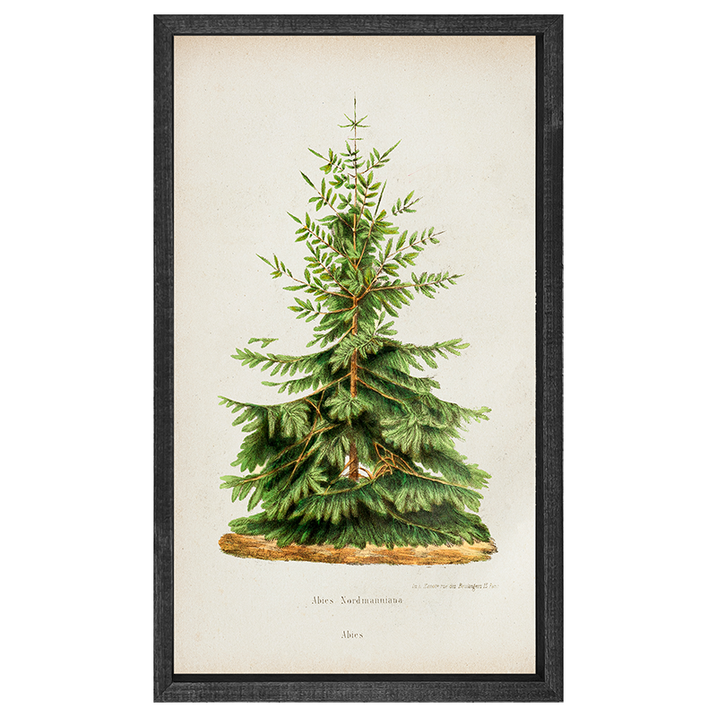 Vintage Tree- 2
