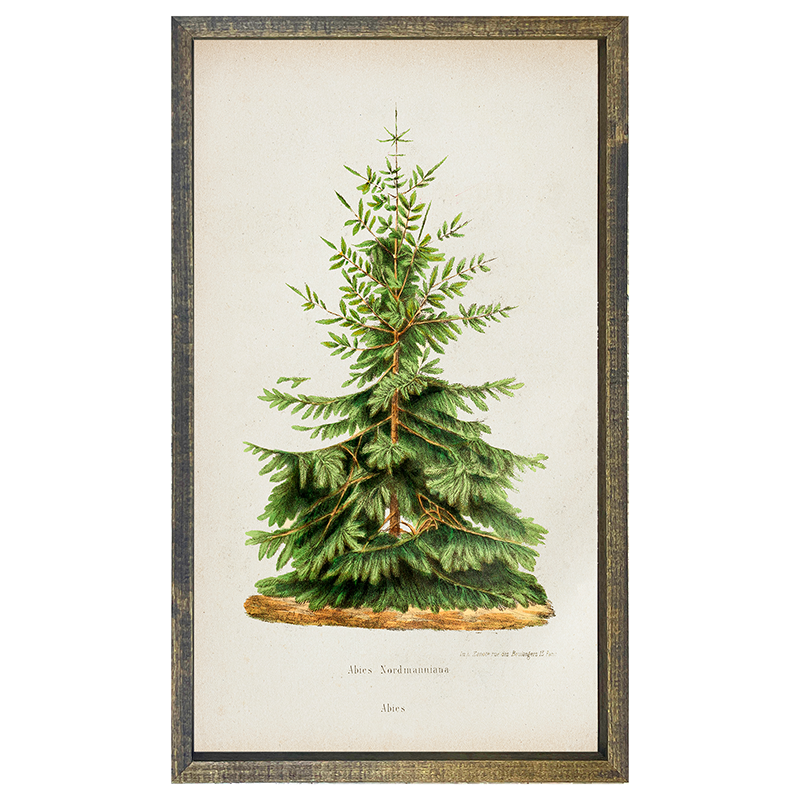 Vintage Tree- 2