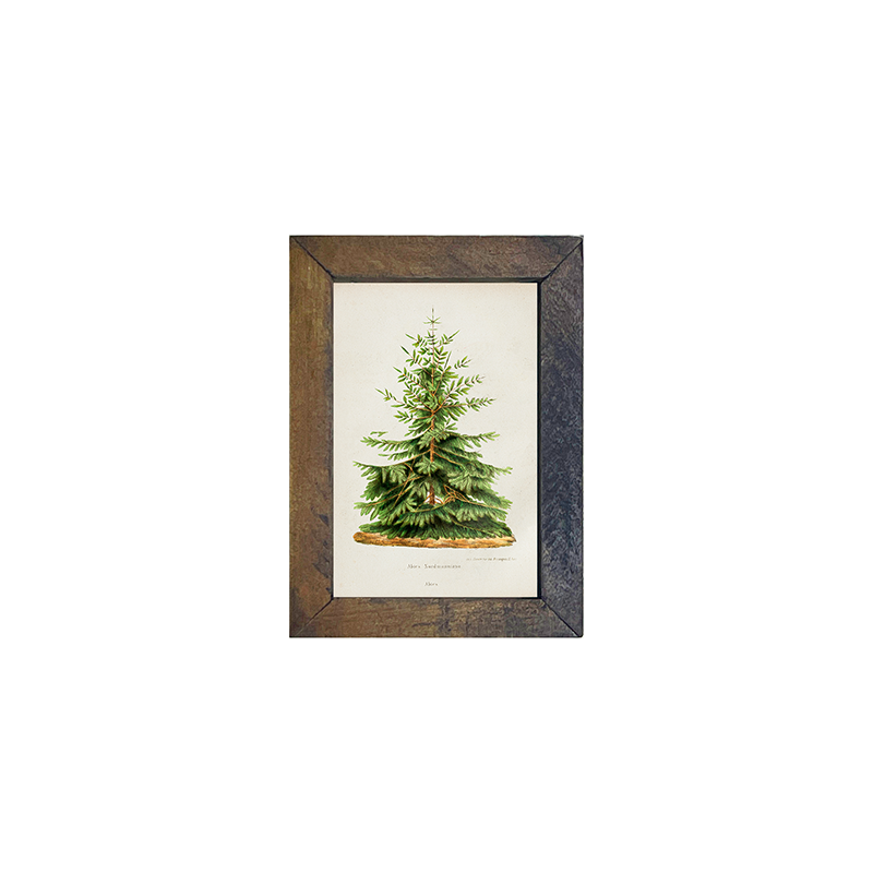 Vintage Tree- 2