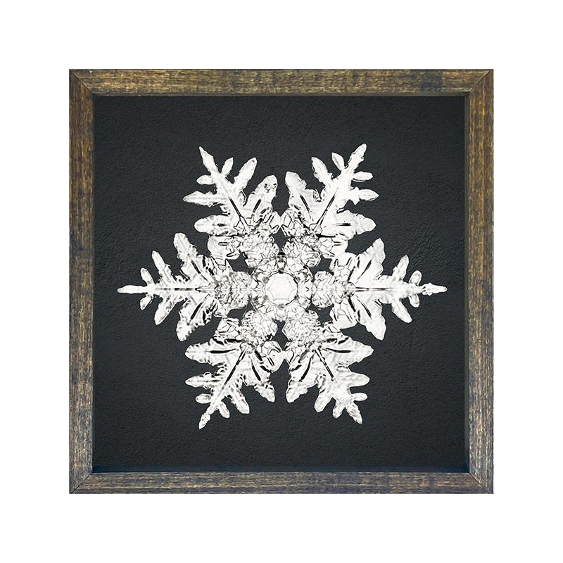 Snowflake-a