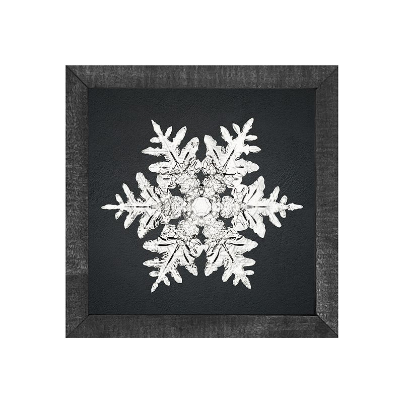 Snowflake-a