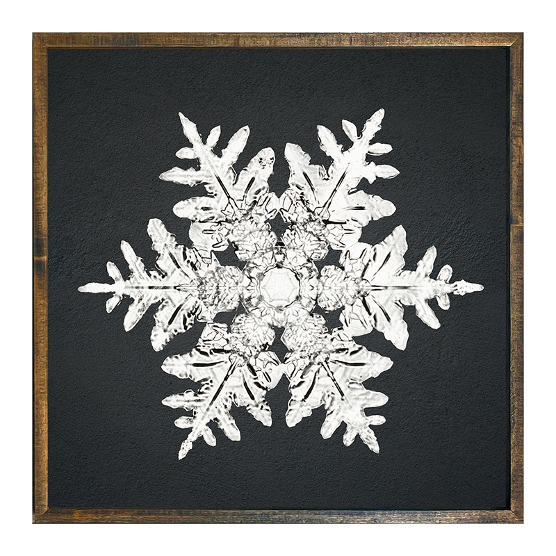 Snowflake-a