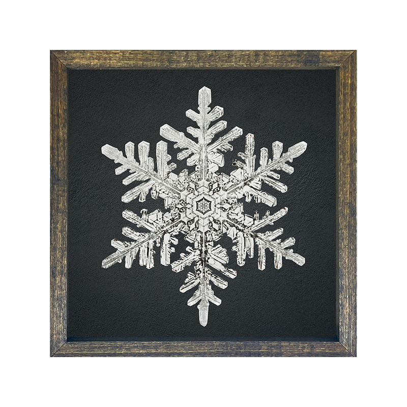 Snowflake-b