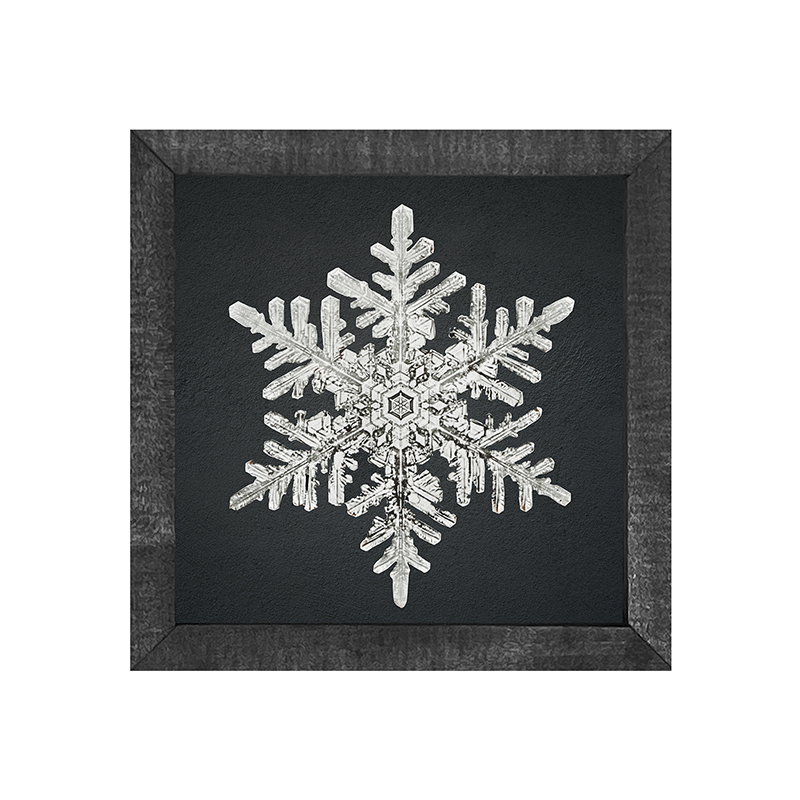 Snowflake-b