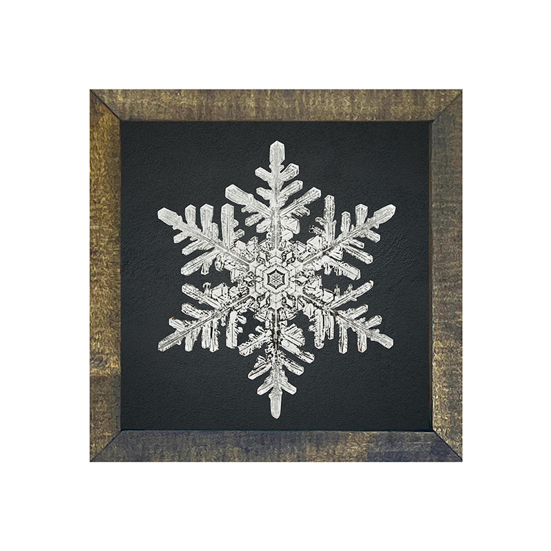 Snowflake-b
