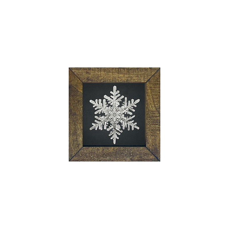 Snowflake-b