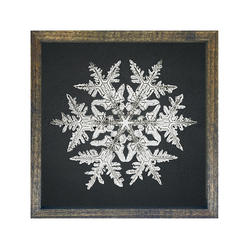 Snowflake-d