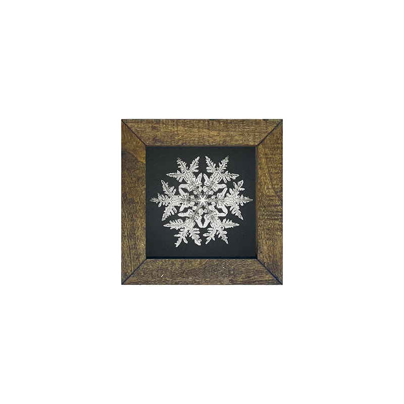 Snowflake-d
