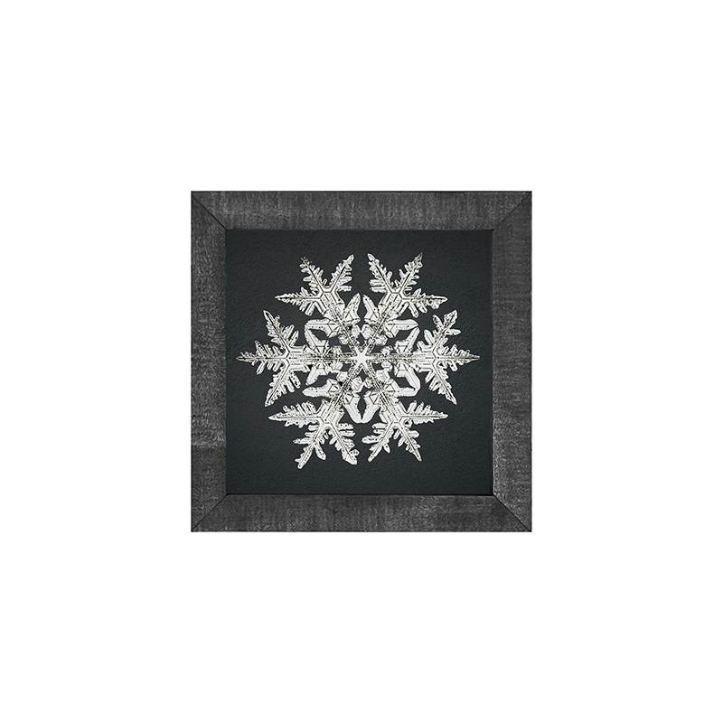 Snowflake-d