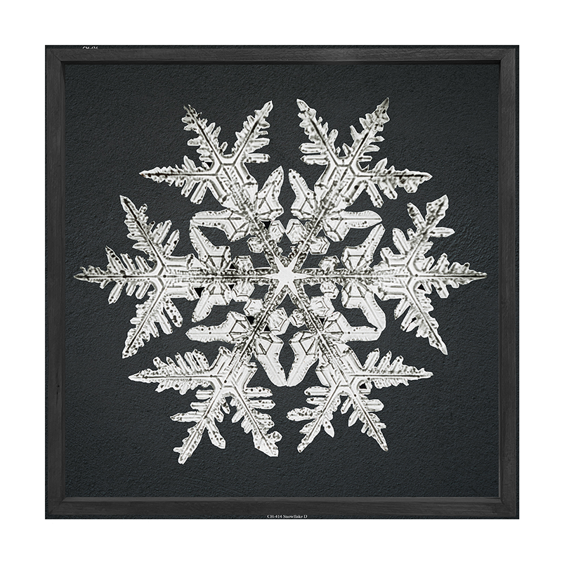 Snowflake-d