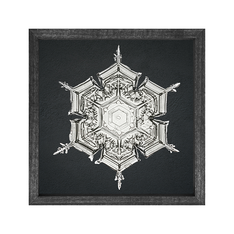Snowflake-e