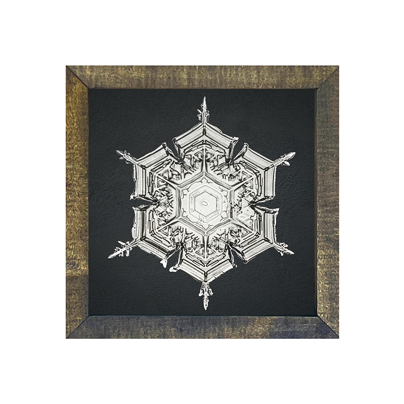 Snowflake-e