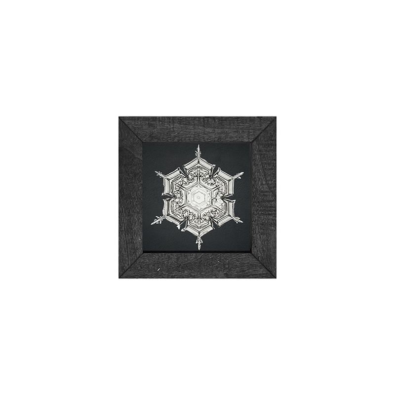 Snowflake-e