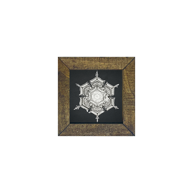 Snowflake-e