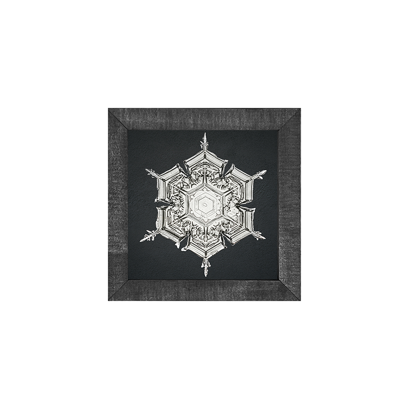 Snowflake-e