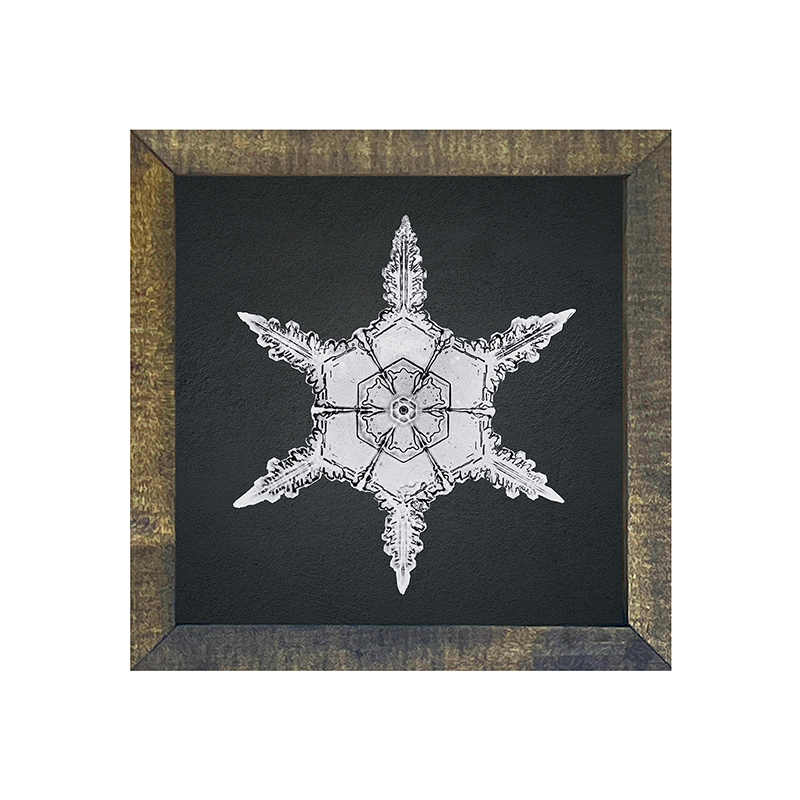 Snowflake-f