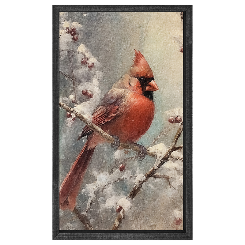 Cardinal in winter