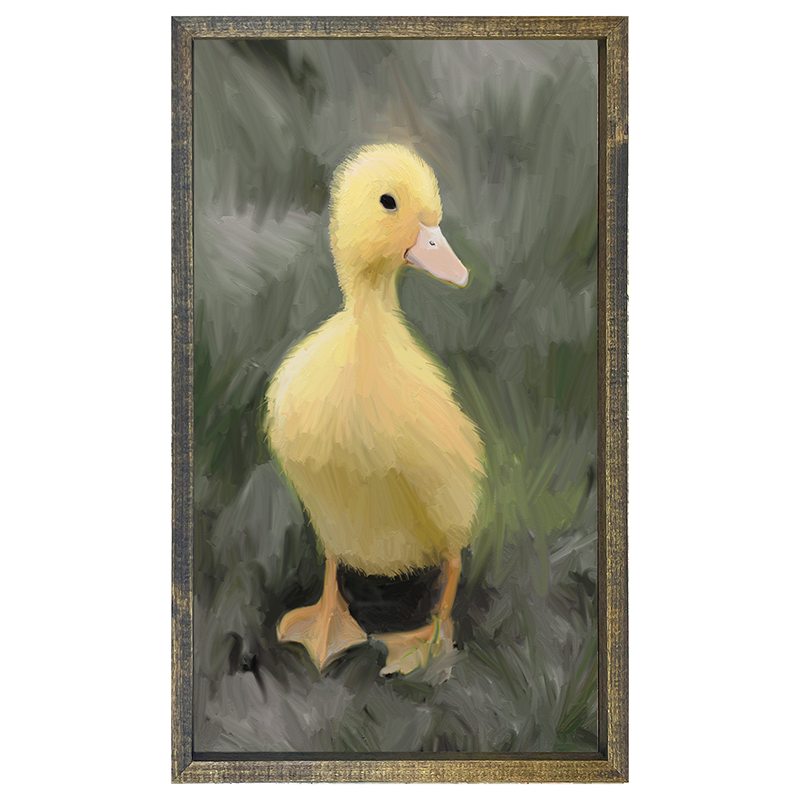 Baby Duck