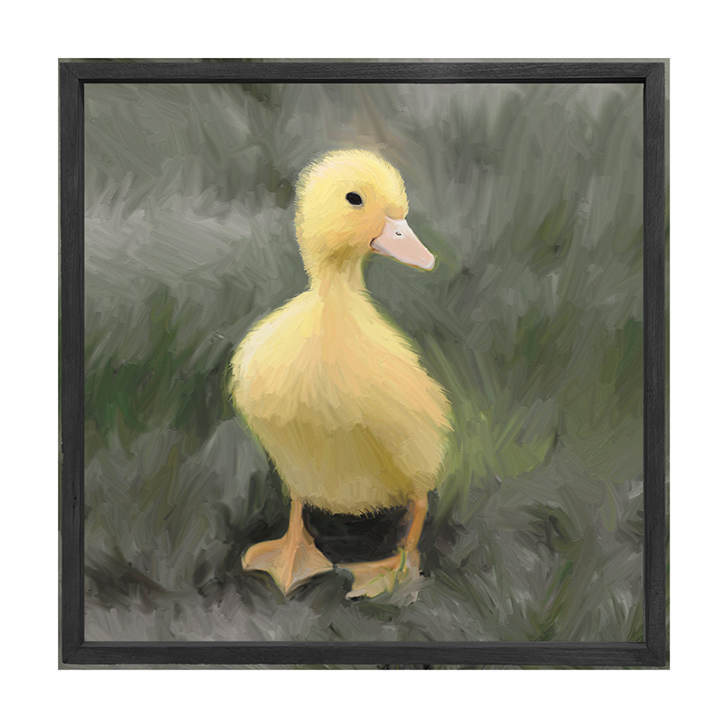Baby Duck