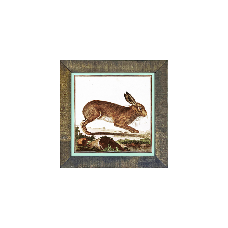 Vintage Brown Bunny