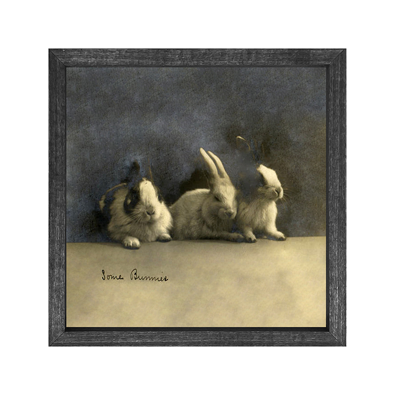 Some Bunnies