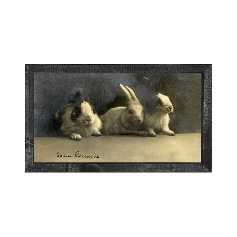 Some Bunnies