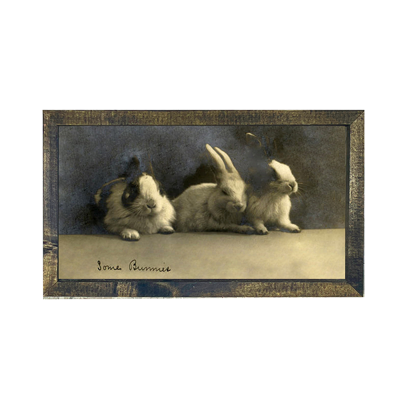 Some Bunnies