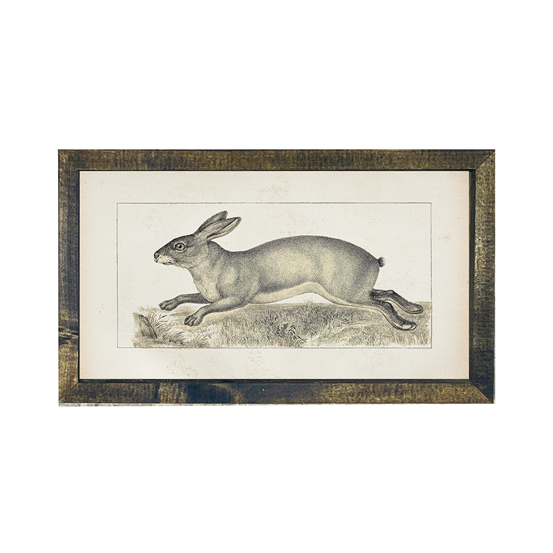 Vintage-long ear bunny