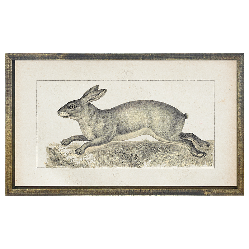 Vintage-long ear bunny