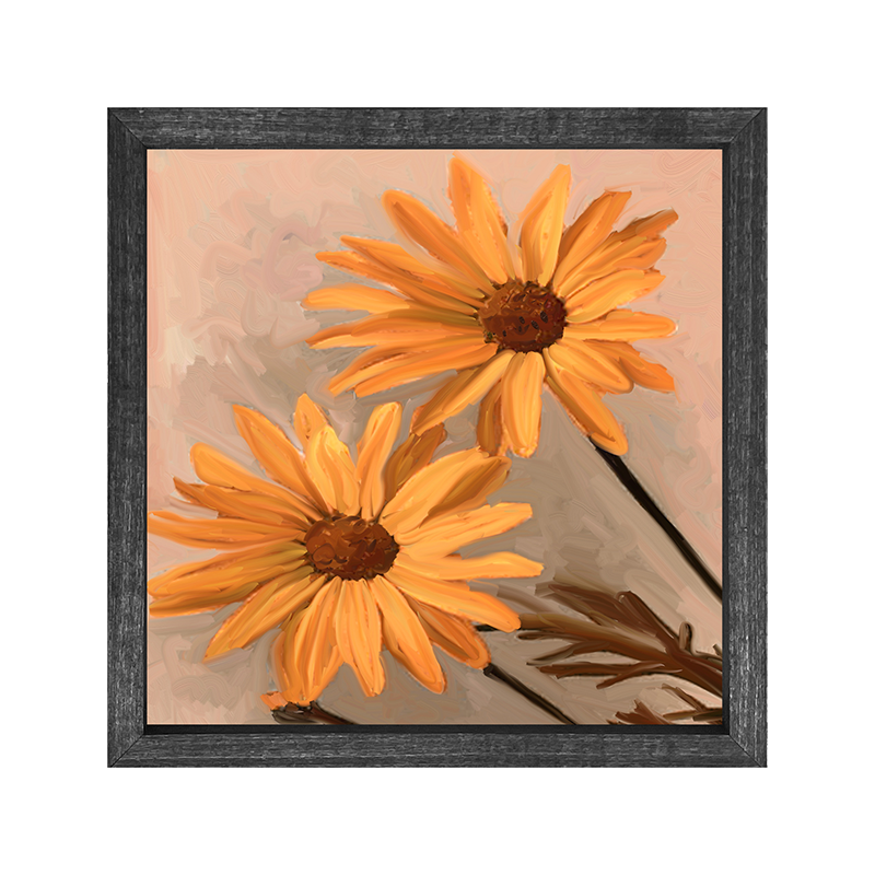 Daisies