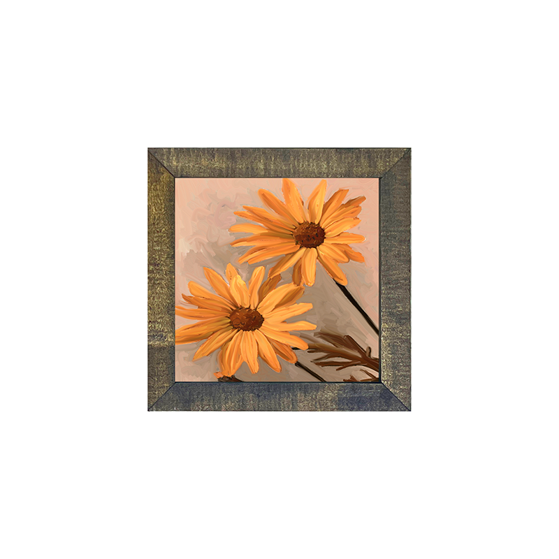 Daisies