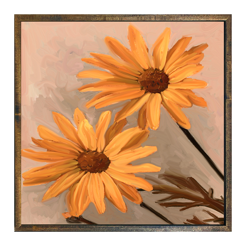 Daisies
