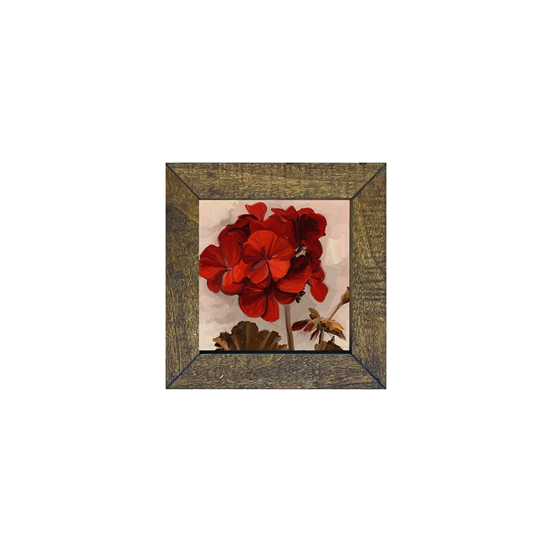 Geranium