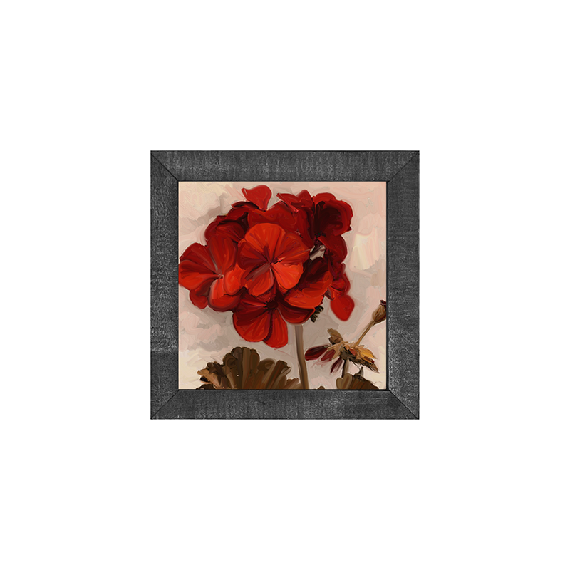 Geranium
