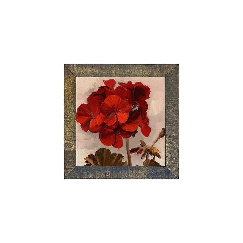 Geranium