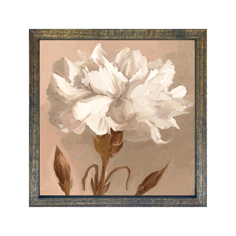 Carnation