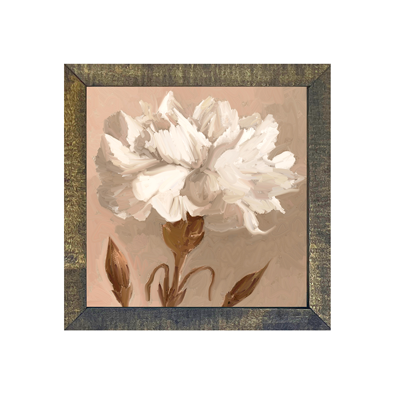 Carnation