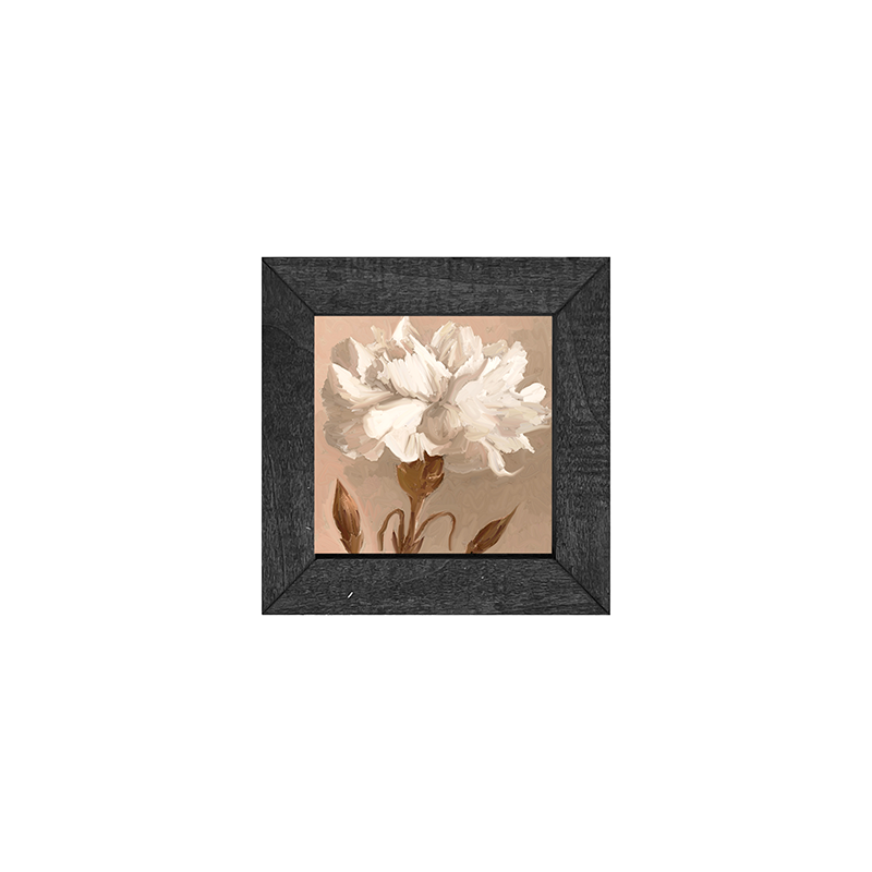 Carnation