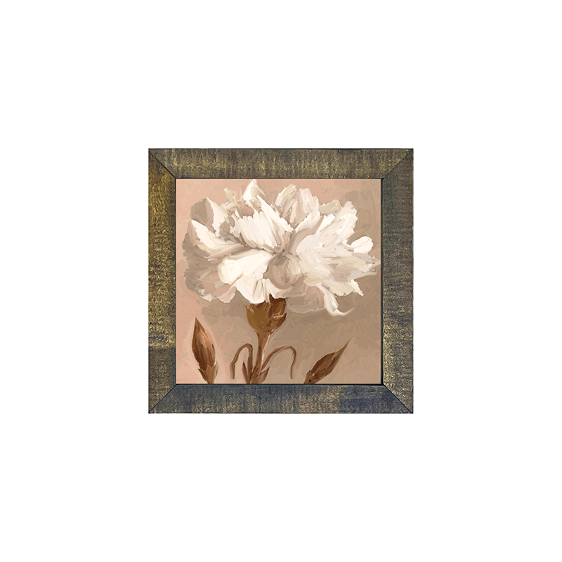 Carnation