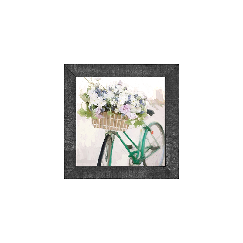 Bike - Green
