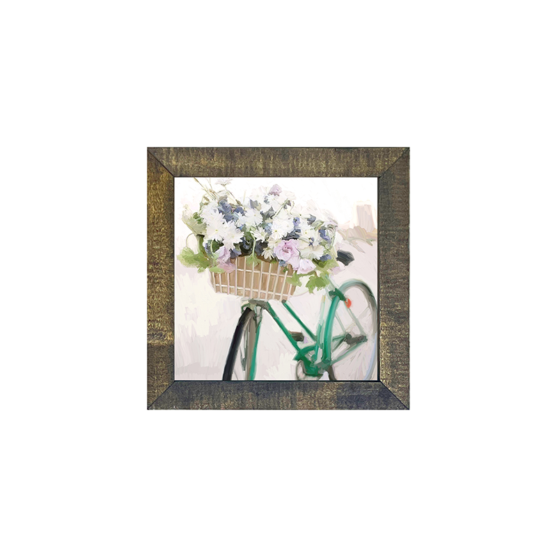 Bike - Green