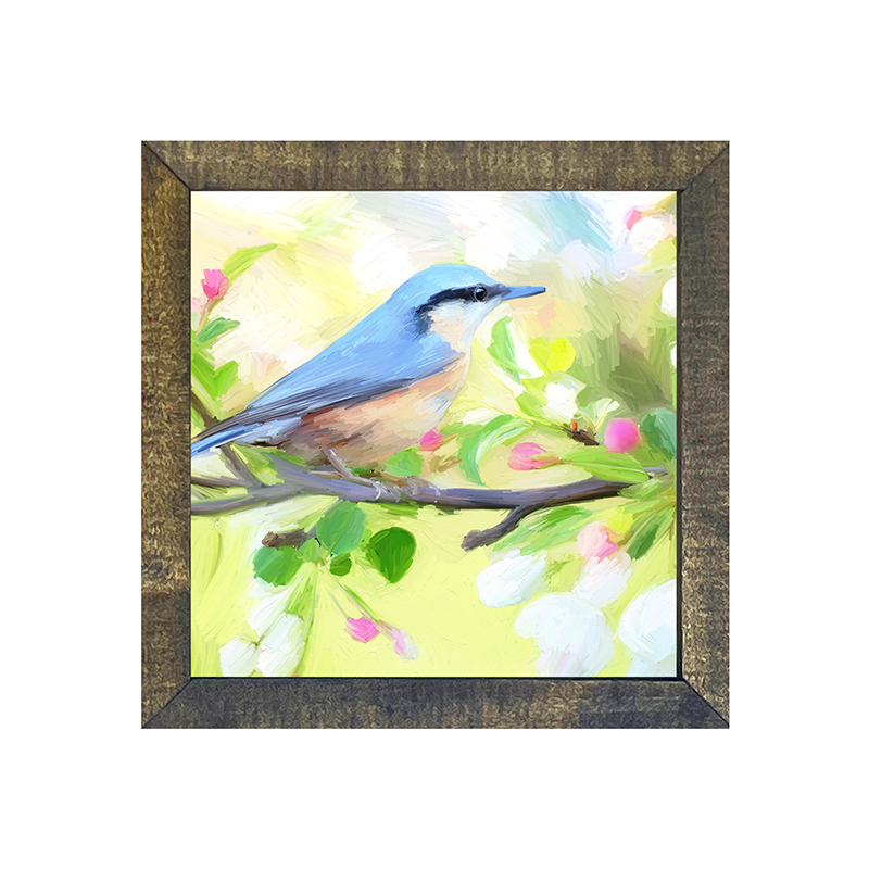 Nut Hatch Blue Bird