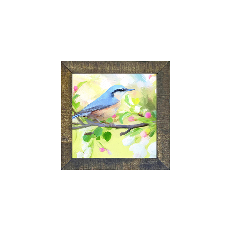Nut Hatch Blue Bird