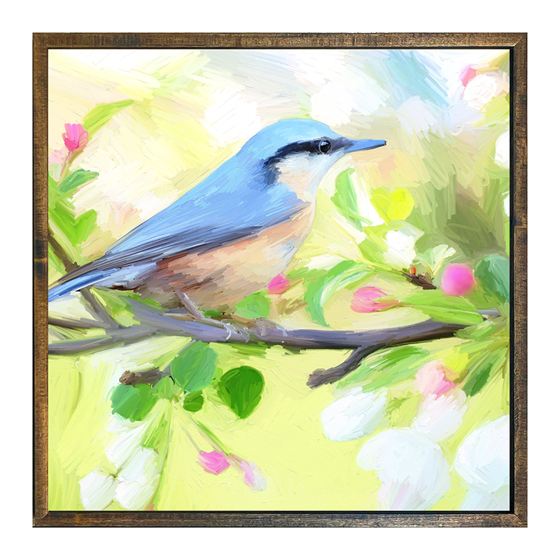 Nut Hatch Blue Bird