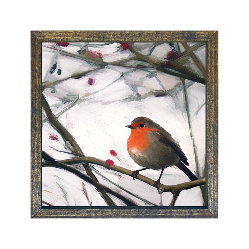 Robin - English