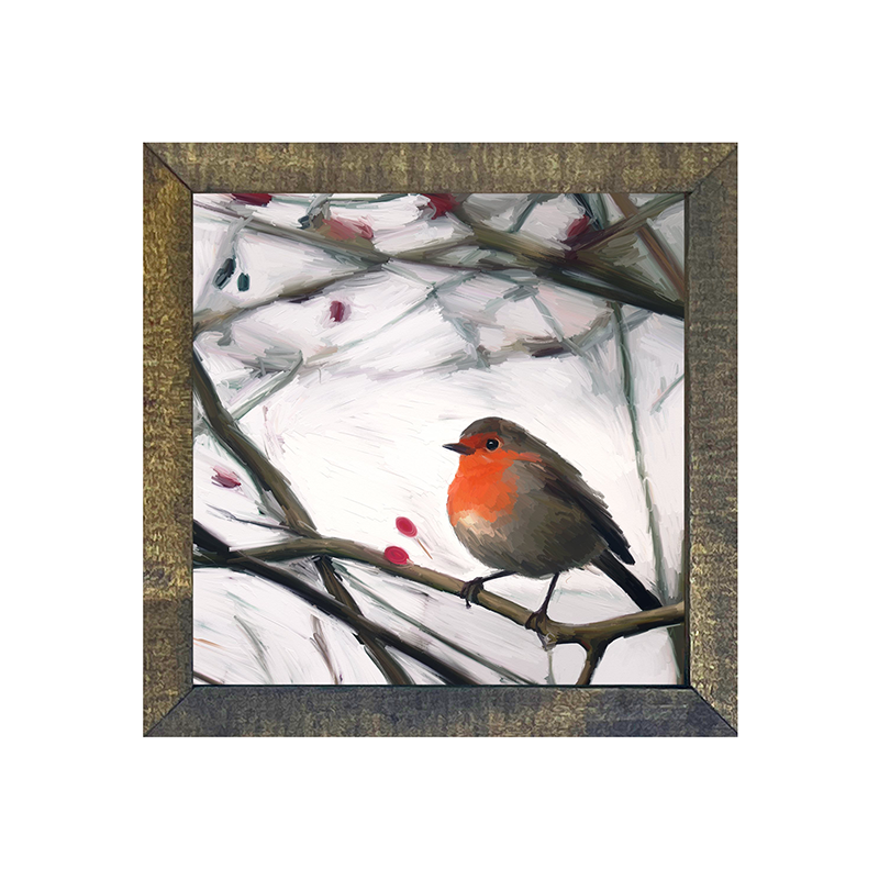 Robin - English