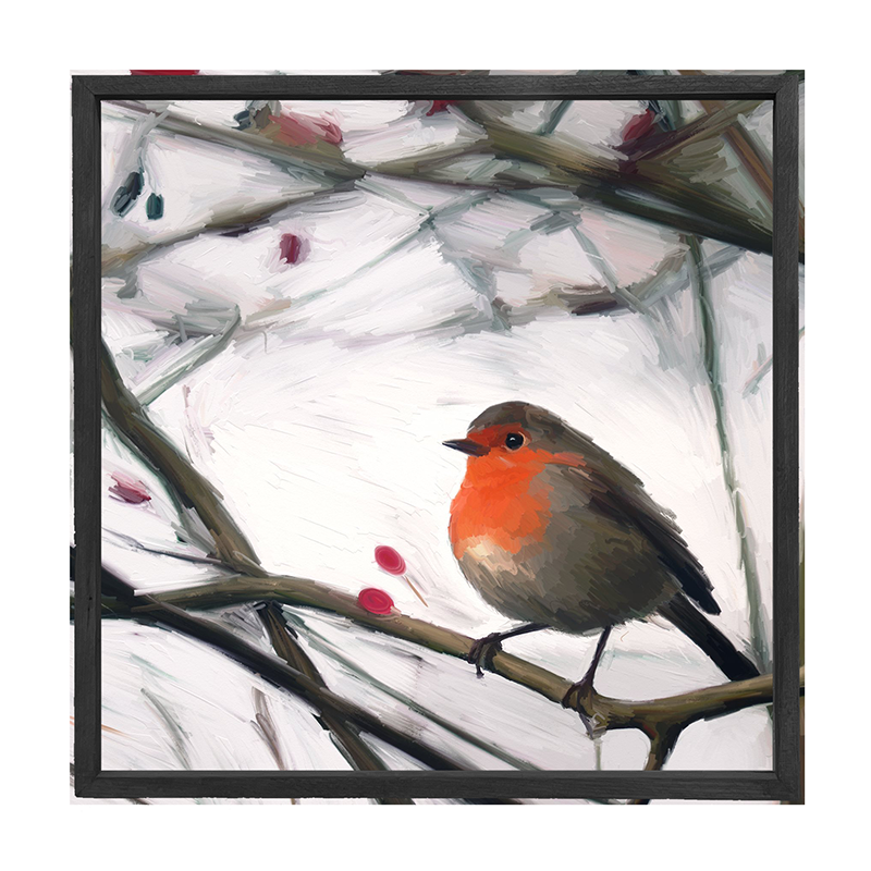 Robin - English